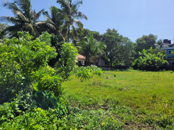  Residential Plot for Sale in Carmana, Goa