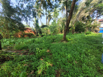  Residential Plot for Sale in Betalbatim, South Goa, 