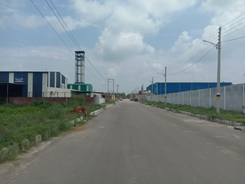 4500 Sq.ft. Industrial Land for Sale in Barwala, Panchkula (REI1181292)