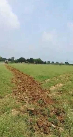 Agricultural Land 24 Bigha for Sale in Bah, Agra