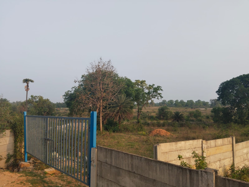  Residential Plot 3 Katha for Sale in Ghatshila, Purbi Singhbhum