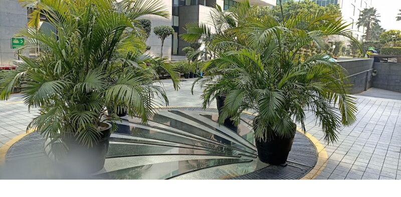  Office Space 5451 Sq.ft. for Sale in Jasola Vihar, Delhi