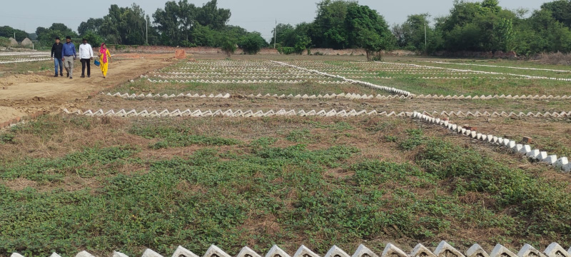  Residential Plot 50 Sq. Yards for Sale in Trans Delhi Signature City, Ghaziabad