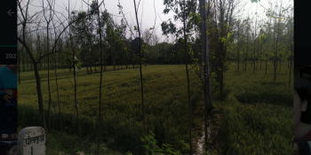  Agricultural Land for Sale in Bhagwanpur, Roorkee