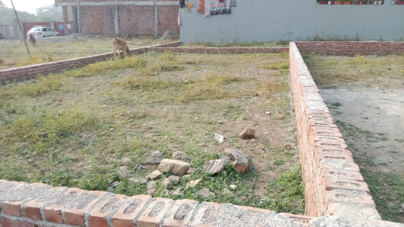  Residential Plot 138 Sq. Yards for Sale in Sahastradhara Road, Sahastradhara Road, Dehradun