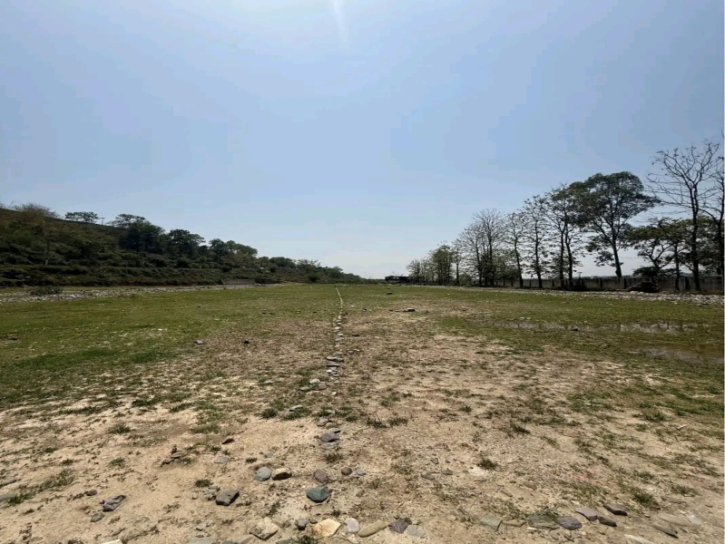  Residential Plot 250 Sq. Yards for Sale in Bhauwala, Dehradun