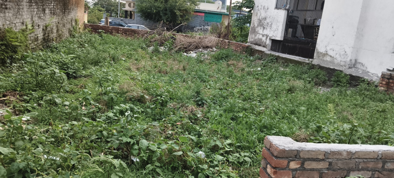  Residential Plot 206 Sq. Yards for Sale in Sahastradhara Road, Dehradun