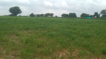  Agricultural Land for Sale in Bagru, Jaipur