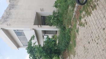  Showroom for Sale in Sector 9 Ambala