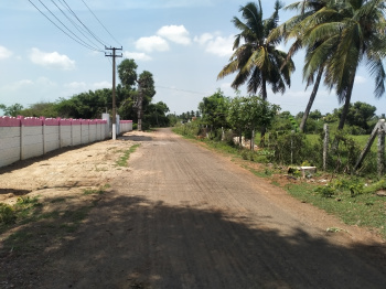  Agricultural Land for Sale in Thiruporur, Chennai