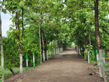  Agricultural Land for Sale in Olakkur, Villupuram