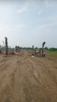  Residential Plot for Sale in Sector 135 Noida