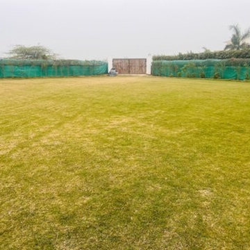  Residential Plot 1080 Sq. Yards for Sale in Sector 135 Noida