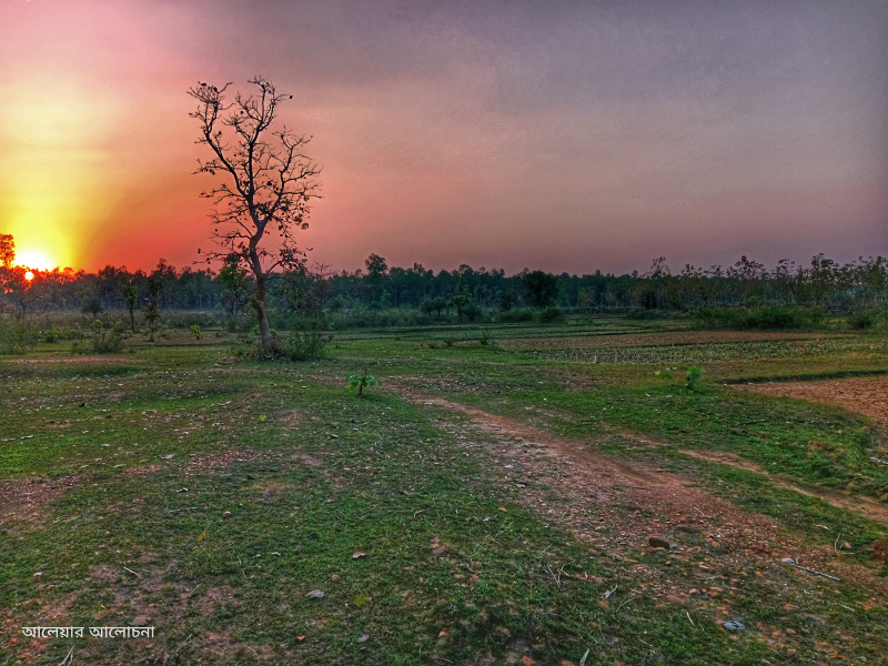  Agricultural Land 40 Bigha for Sale in Simlapal, Bankura