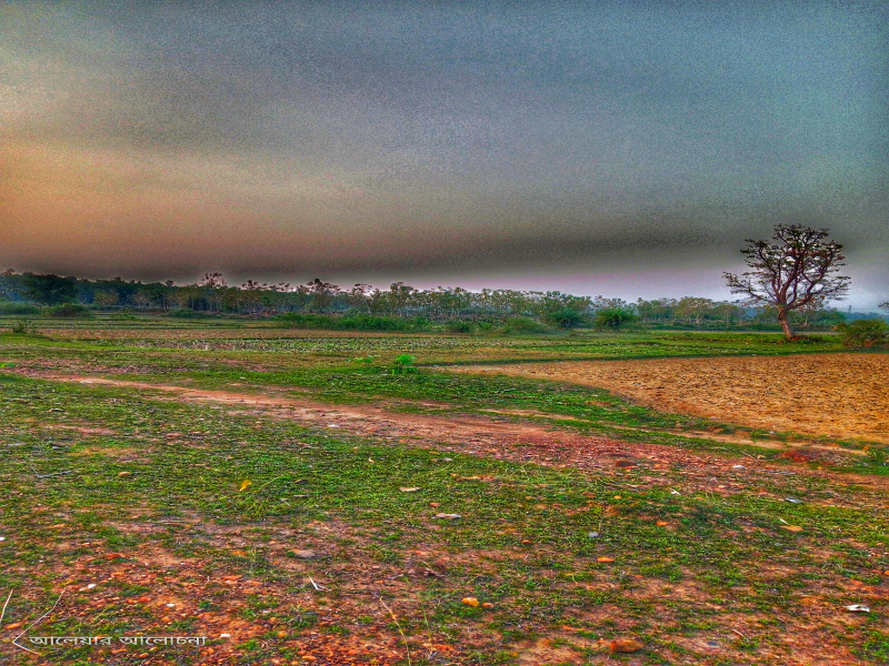  Agricultural Land 40 Bigha for Sale in Simlapal, Bankura