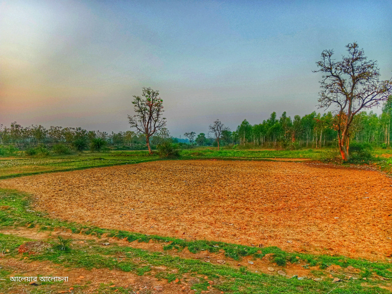  Agricultural Land 40 Bigha for Sale in Simlapal, Bankura