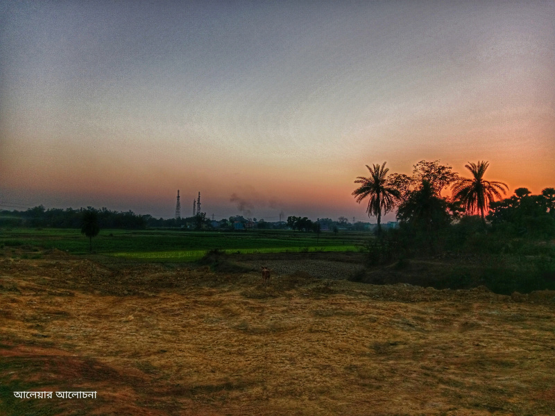  Agricultural Land 50 Bigha for Sale in Dhabani, Bankura