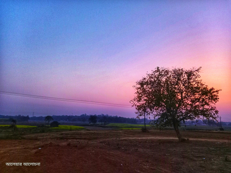  Agricultural Land 50 Bigha for Sale in Dhabani, Bankura