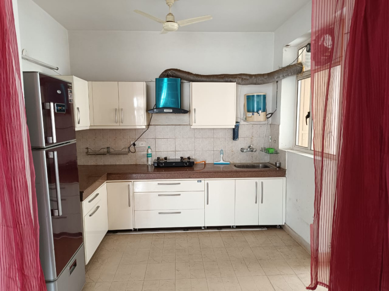 2 BHK 1265 Sq.ft. Apartment for Rent in TDI City, Mohali