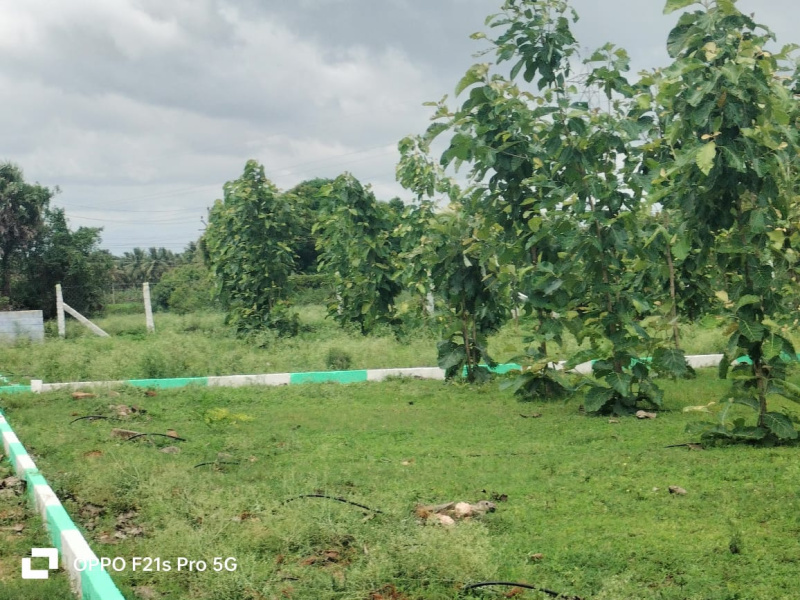  Agricultural Land 10890 Sq.ft. for Sale in Kinathukadavu, Coimbatore