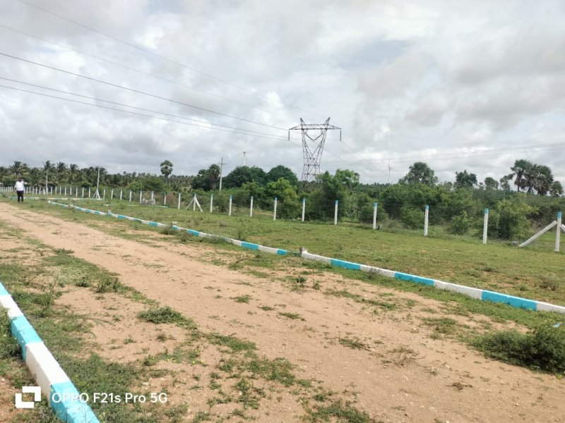  Residential Plot 1200 Sq.ft. for Sale in Kinathukadavu, Coimbatore