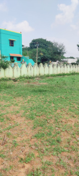  Agricultural Land for Sale in Poondi, Thiruvallur