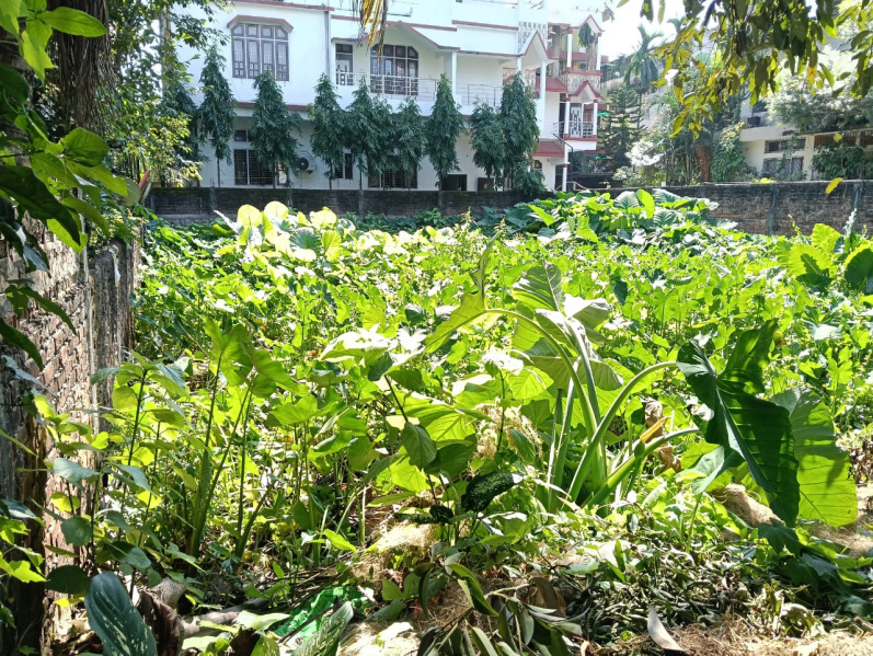  2 Katha Residential Plot for Sale in Beltola, Guwahati