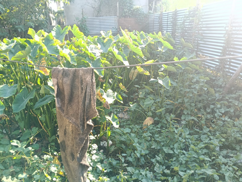  1 Katha Residential Plot for Sale in Hatigaon, Guwahati