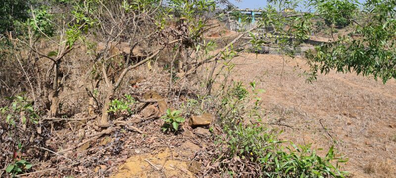  Agricultural Land 5 Acre for Sale in Ghoti Budruk, Nashik