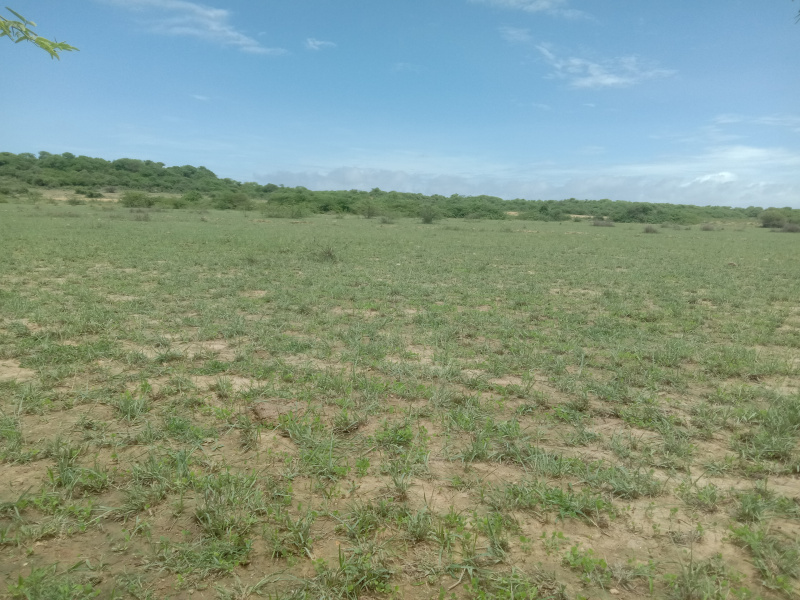  Agricultural Land 4 Acre for Sale in BARADIA, Dwarka