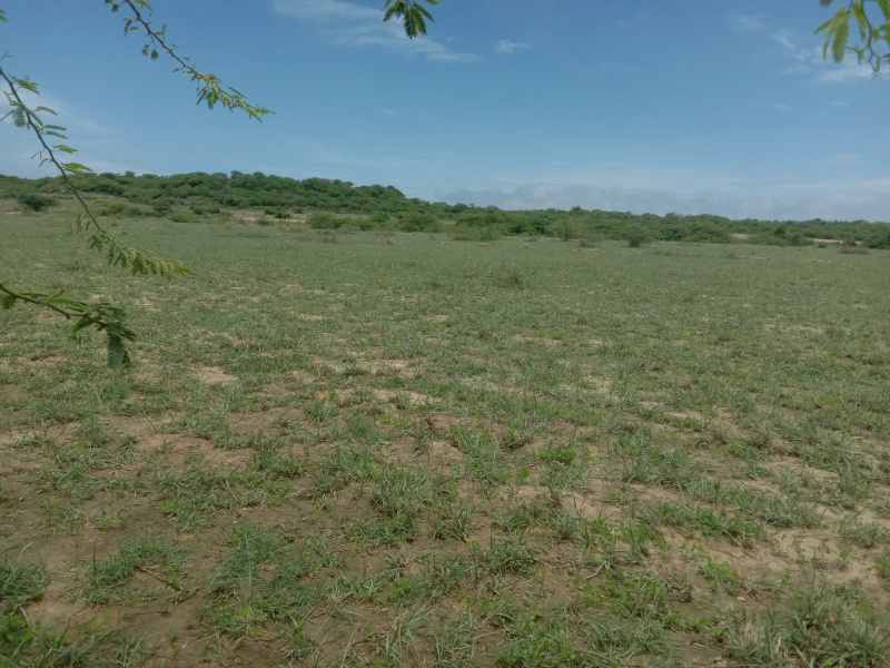  Agricultural Land 4 Acre for Sale in BARADIA, Dwarka