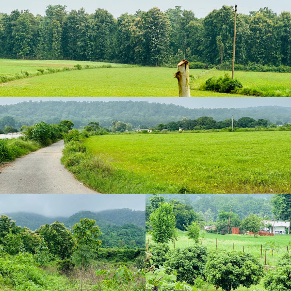 Agricultural Land 50 Acre for Sale in Rudrapur Udham, Udham Singh Nagar