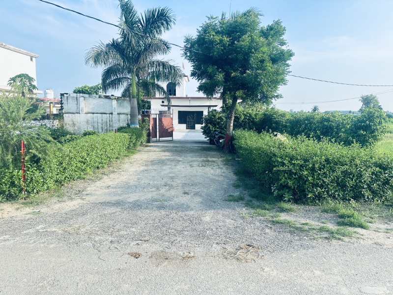 3 BHK Farm House 6000 Sq.ft. for Sale in Bajpur, Udham Singh Nagar