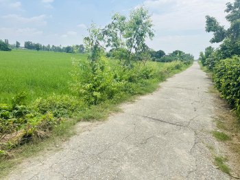  Agricultural Land for Sale in Bajpur, Udham Singh Nagar