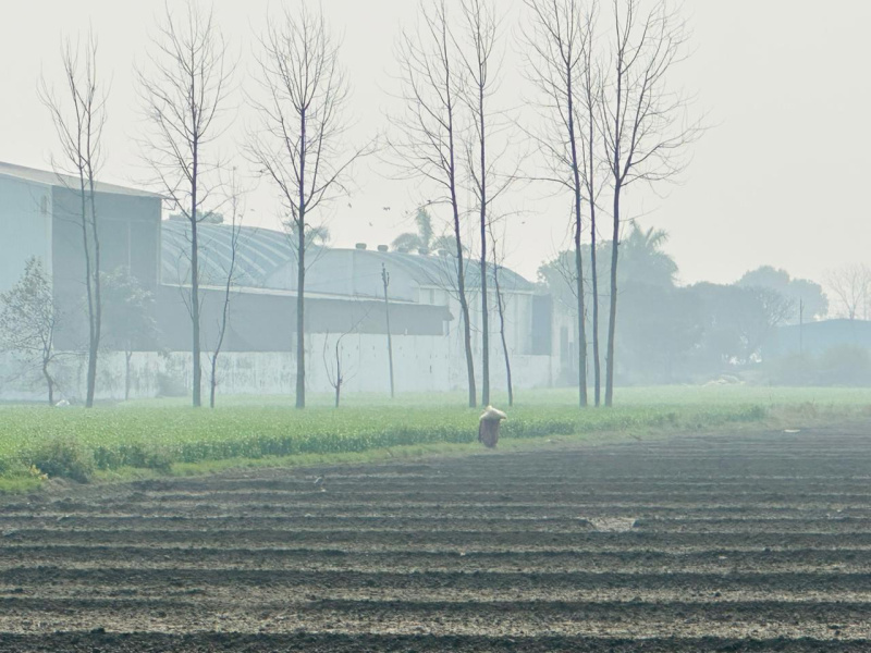  4 Acre Agricultural/Farm Land for Sale in Bajpur, Udham Singh Nagar