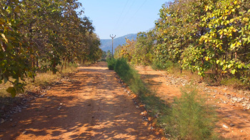  Agricultural Land for Sale in Periyanaickenpalayam, Coimbatore
