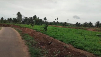  Agricultural Land for Sale in Shoolagiri, Hosur