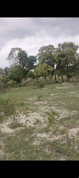  Agricultural Land for Sale in Bynapalli, Krishnagiri
