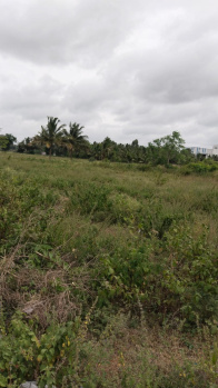  Commercial Land for Sale in Shoolagiri, Krishnagiri