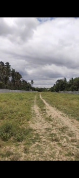  Industrial Land for Sale in Hosur Taluk, Krishnagiri