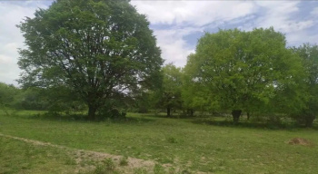  Agricultural Land for Sale in Marandahalli, Dharmapuri