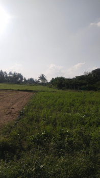  Agricultural Land for Sale in Shoolagiri, Hosur