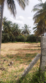  Agricultural Land for Sale in Shoolagiri, Hosur