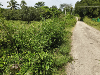  Agricultural Land for Sale in Shoolagiri, Hosur