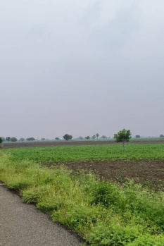  Agricultural Land for Sale in Nagampatti, Thoothukudi
