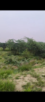 Agricultural Land for Sale in Vilathikulam, Thoothukudi