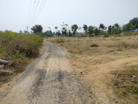  Agricultural Land for Sale in B. Mallapuram, Dharmapuri