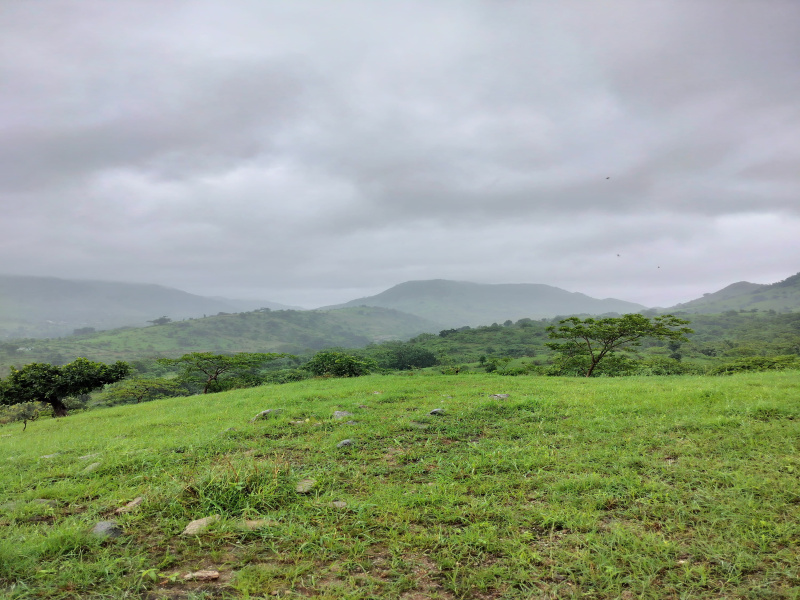  Agricultural Land 80 Bigha for Sale in Kumbhalgarh, Rajsamand