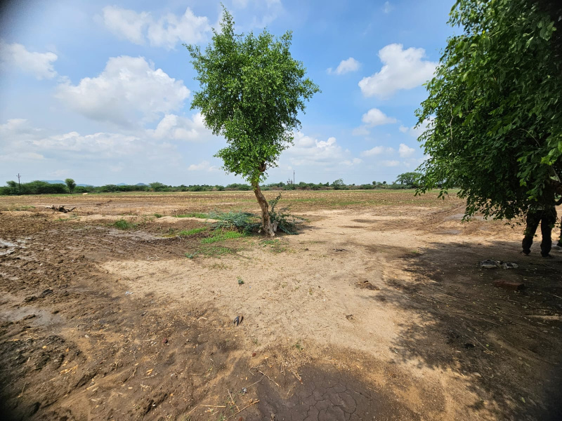  Residential Plot 24 Bigha for Sale in Kherwa Road, Pali