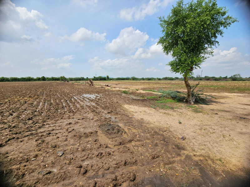  Residential Plot 24 Bigha for Sale in Kherwa Road, Pali